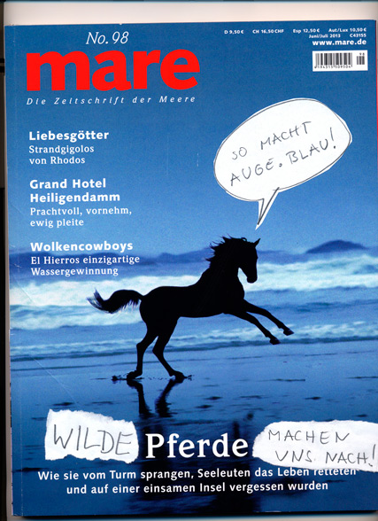 Wilde Pferde machen uns nach - Das Mare-Cover